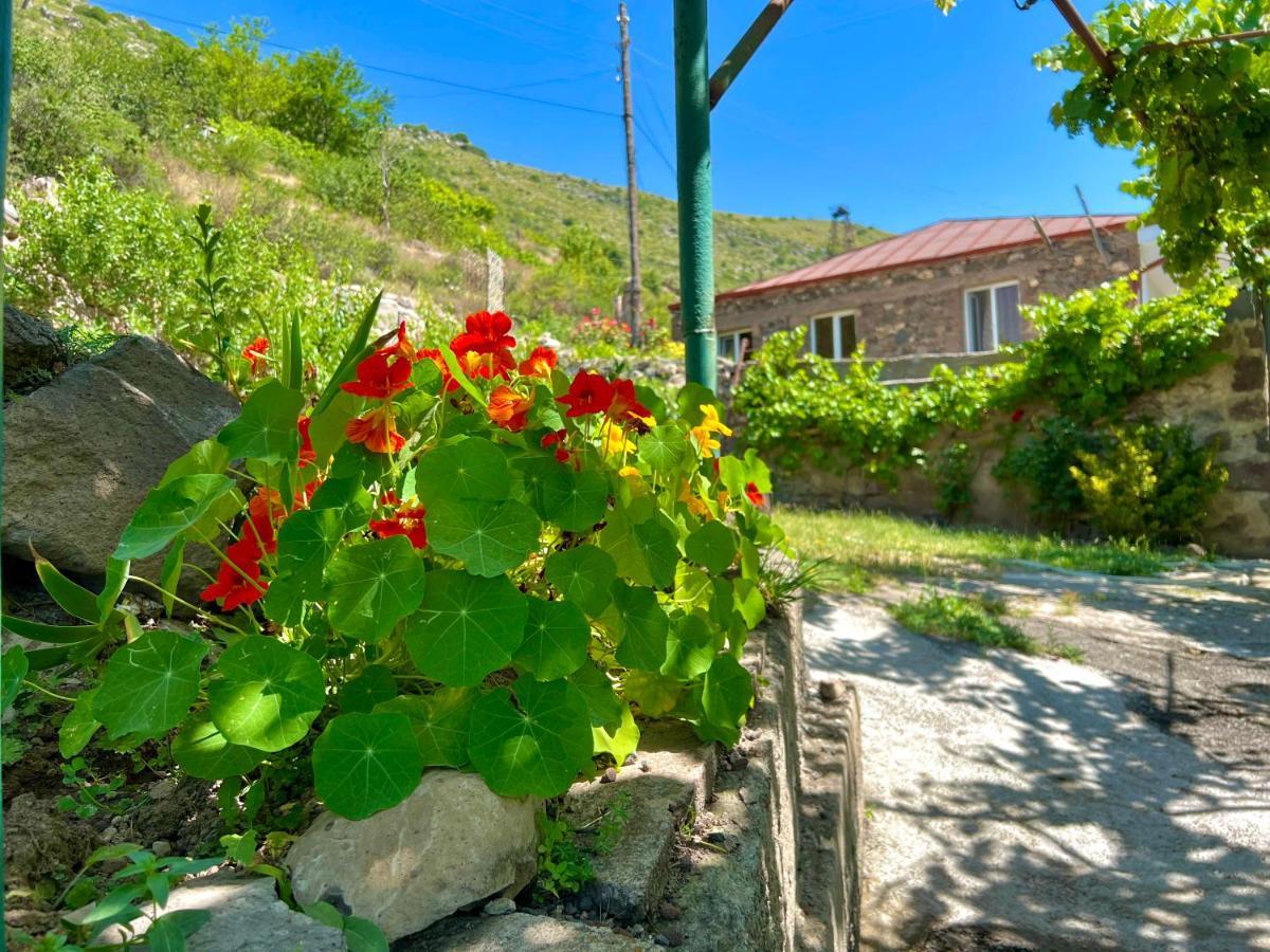 Igor Bed And Breakfast Halidzor المظهر الخارجي الصورة