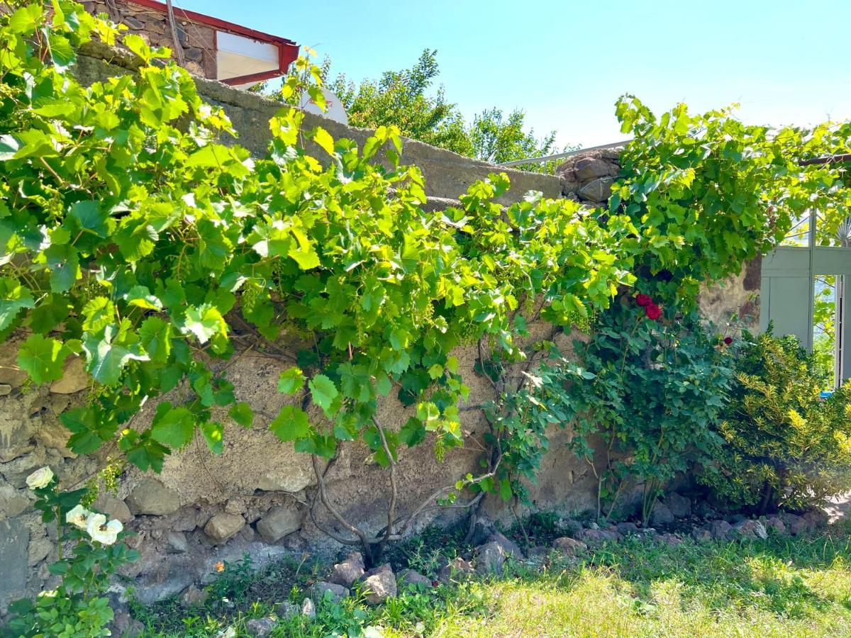 Igor Bed And Breakfast Halidzor المظهر الخارجي الصورة