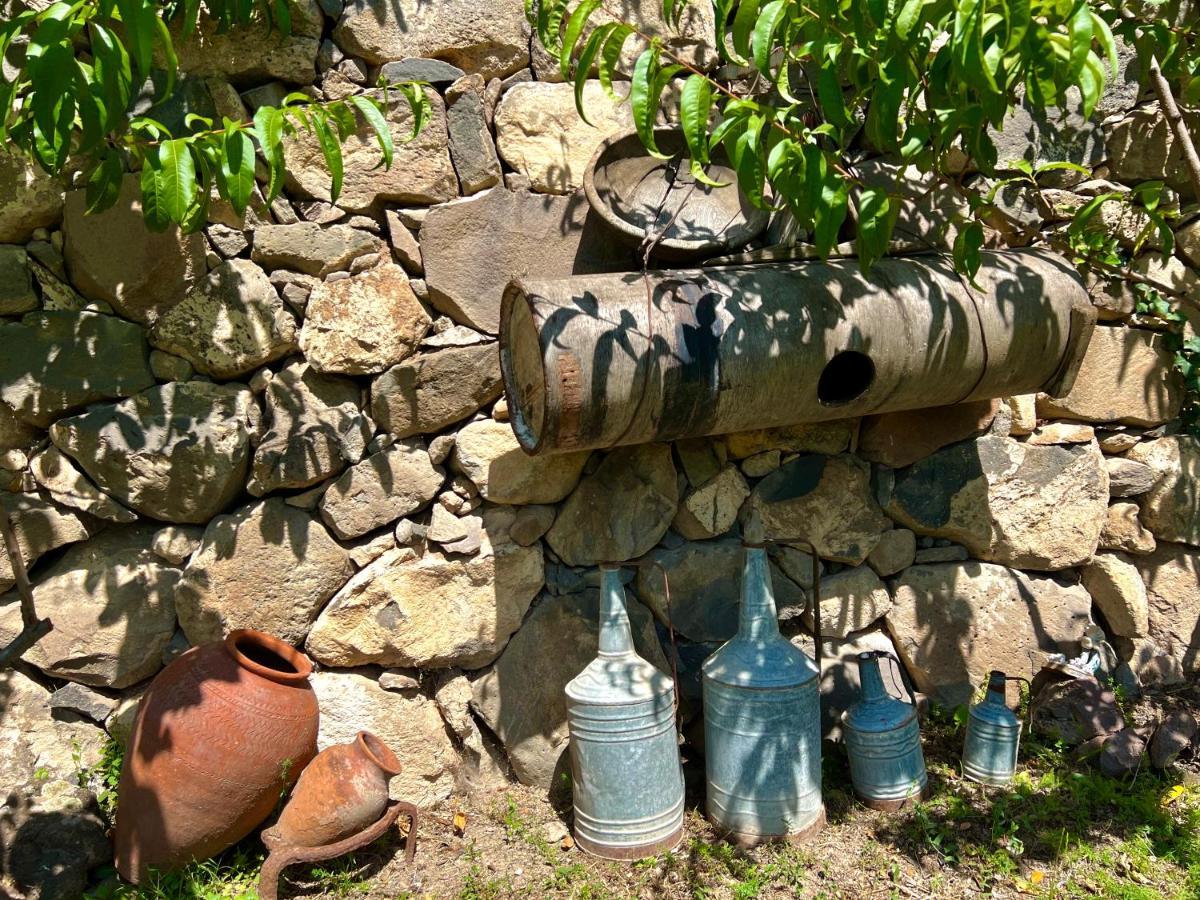 Igor Bed And Breakfast Halidzor المظهر الخارجي الصورة
